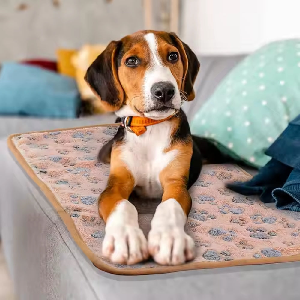 Pet Comforter Blanket