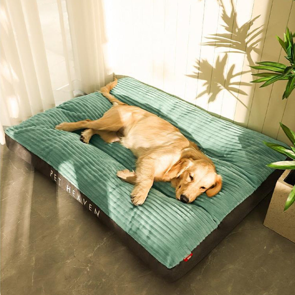 Cosy Pet Lounge