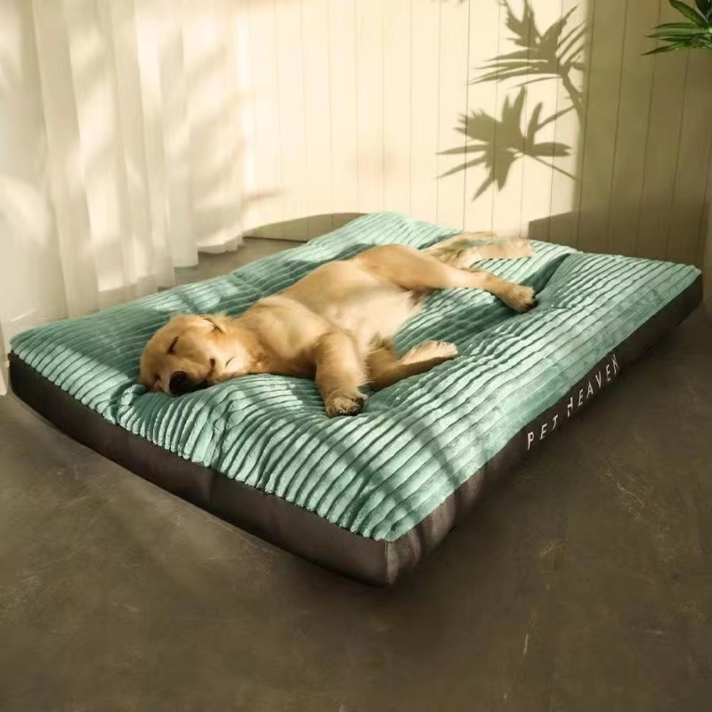 Cosy Pet Lounge