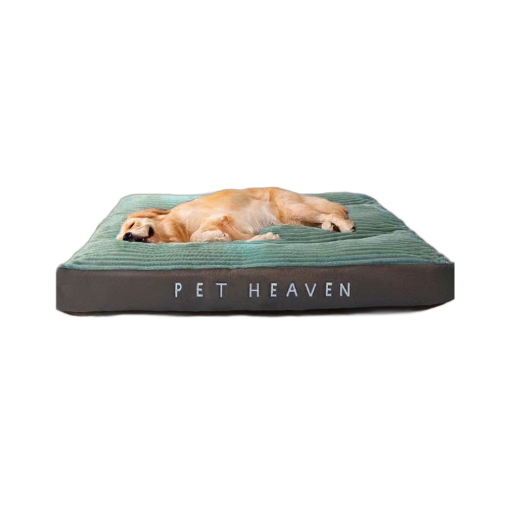 Cosy Pet Lounge